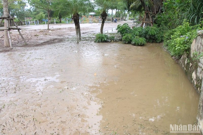 Bùn đất đọng dày sau trận mưa cách đây 3 ngày.