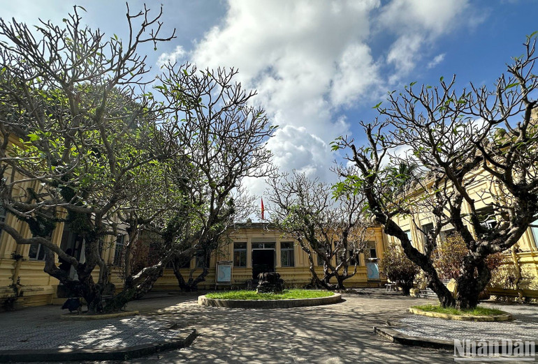 Theo ông Hồ Tấn Tuấn, Giám đốc Bảo tàng điêu khắc Chăm Đà Nẵng, Bảo tàng là đơn vị duy nhất thuộc Sở Văn hóa, Thể thao Đà Nẵng thực hiện tự chủ hoàn toàn hơn 15 năm qua. Tuy nhiên, năm 2020-2022 là thời điểm đại dịch Covdi-19 nên bảo tàng rơi vào tình trạng khó khăn vì không bán được vé, không có khách tham quan. Năm 2023 số lượng vé bán ra rất ít, không có kinh phí làm chuyên môn và sửa chữa cơ quan. (Ảnh ANH ĐÀO)