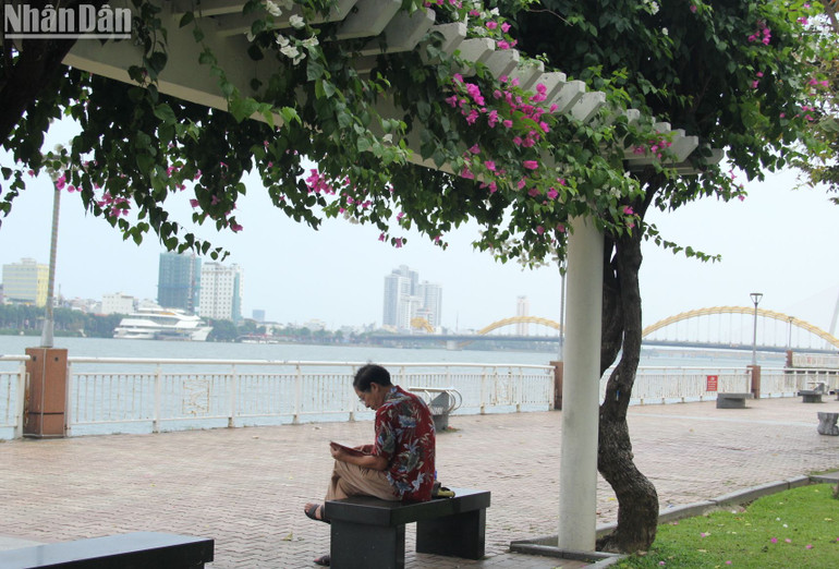 Một người dân đọc sách tại điểm dừng chân dọc đường Bạch Đằng, Đà Nẵng.