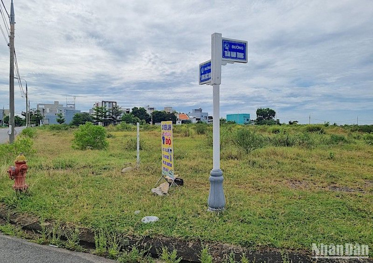 Khu đất đấu giá để xây dựng viện dưỡng lão.