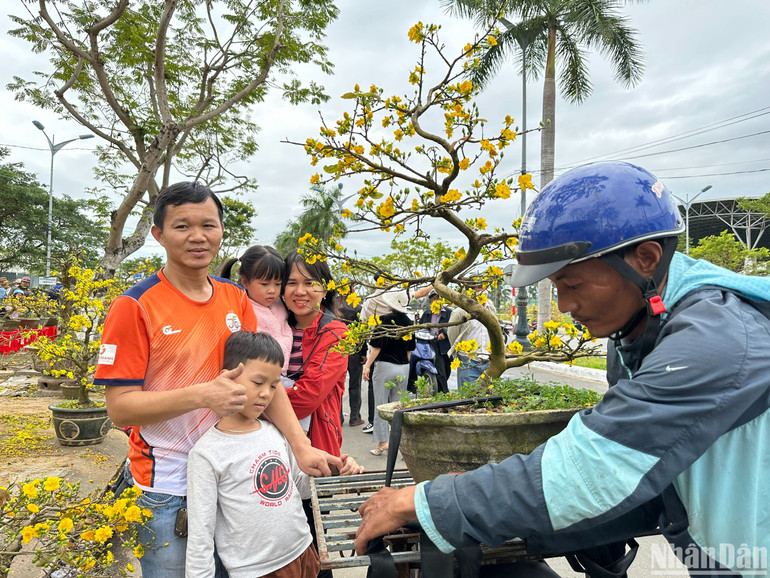 Trưa 30 Tết, nhà báo Hoàng Văn Quân (Chuyên đề Công an TP Hồ Chí Minh) và gia đình đi dạo chợ hoa và kịp chọn một cây mai về chưng Tết. (Ảnh: ANH ĐÀO)