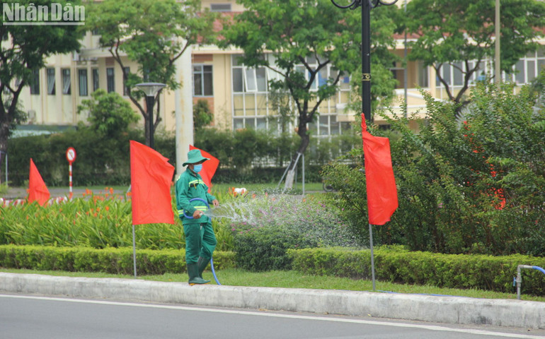 Công nhân đang chăm sóc cây xanh trên khu vực cầu Rồng.