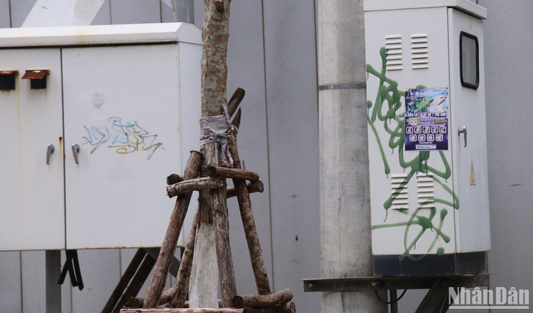 Trạm biến áp dọc đường Trần Phú bị bôi vẽ bậy.