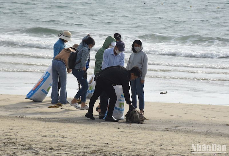 Nhiều đơn vị cùng tham gia dọn vệ sinh làm sạch bãi biển Đà Nẵng. Ảnh: ANH ĐÀO