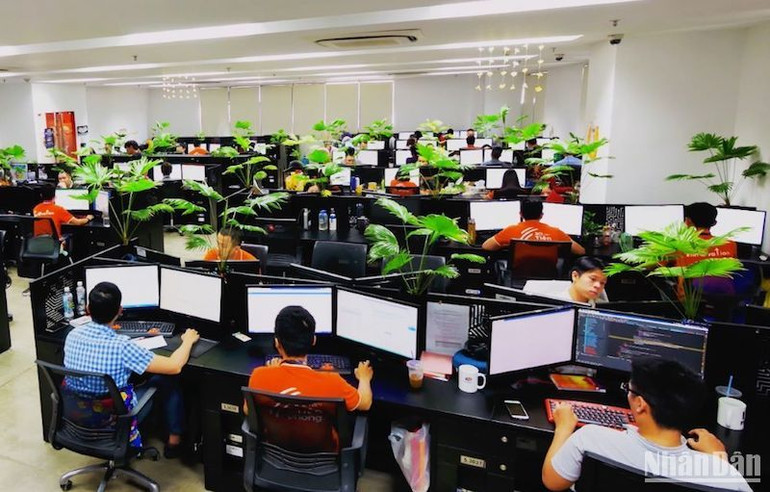 Hiện Khu công nghệ thông tin tập trung cho FPT Complex (thành phố Đà Nẵng) là nơi làm việc của hơn 6.000 nhân sự trong lĩnh vực phần mềm.