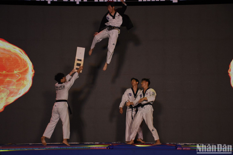 Màn trình diễn võ thuật Taekwondo, võ thuật Việt Nam do các sinh viên Trường đại học Keimyung, Hàn Quốc thực hiện. (Ảnh: ANH ĐÀO) Màn trình diễn võ thuật Taekwondo, võ thuật Việt Nam do các sinh viên Trường đại học Keimyung, Hàn Quốc thực hiện. (Ảnh: ANH ĐÀO)