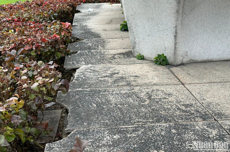 Chân đế tượng Đất lành chim đậu bị hư hại...