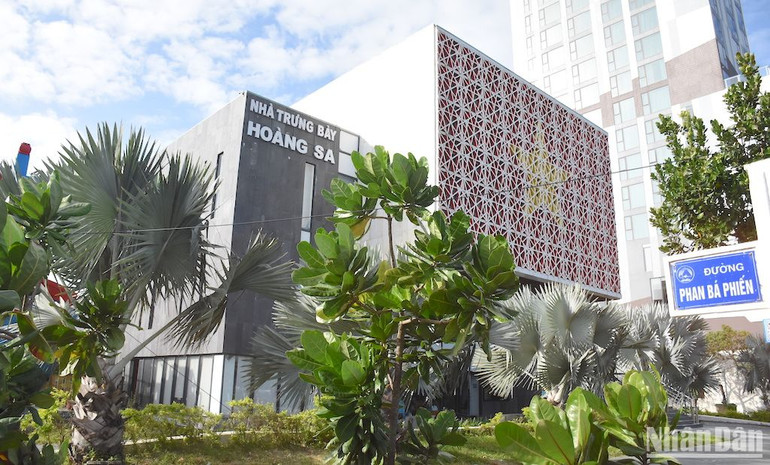 Những cây bàng vuông được mang về từ quẩn đảo Trường Sa - đang vươn lên xanh mát phía trước cổng Nhà trưng bày Hoàng Sa.