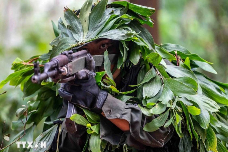 Nguỵ trang dưới lớp lá cây và dường như tàng hình trong không gian núi rừng. (Ảnh: TTXVN)