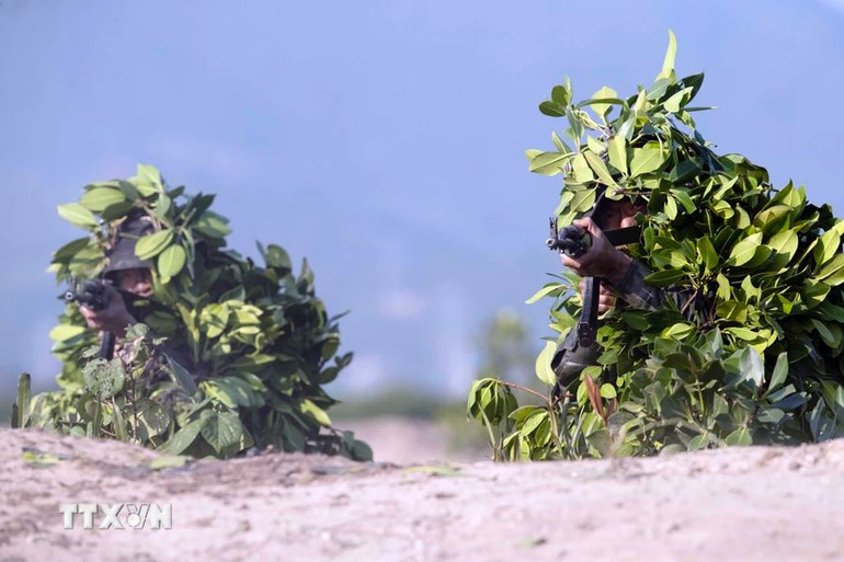 Các chiến sĩ thực hiện bài huấn luyện dùng cây cối chung quanh để nguỵ trang sao cho giống với lùm cây ngọn cỏ, tránh bị địch phát hiện. (Ảnh: TTXVN)