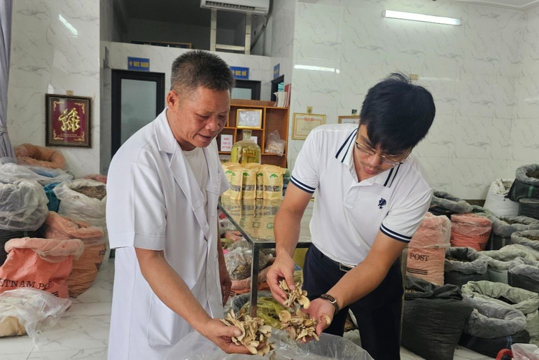 Cơ sở sản xuất dược liệu của ông Ngô Đình Tuấn tại xã Minh Quang, huyện Tam Đảo.