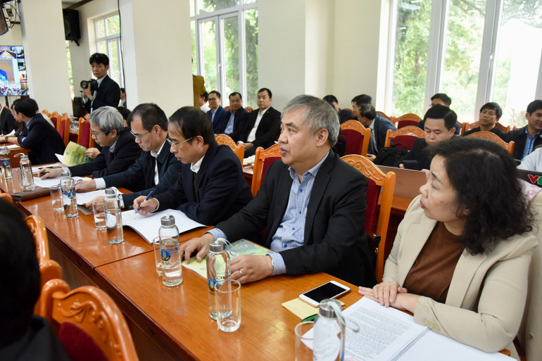 Các đại biểu tham dự hội nghị.