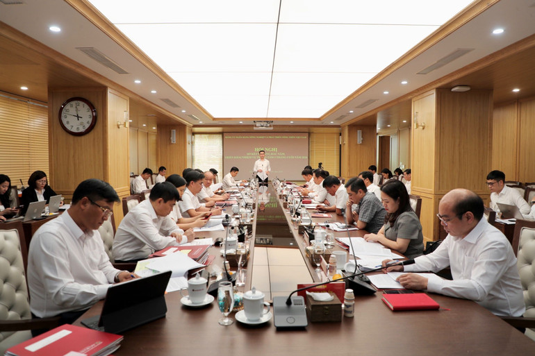 Toàn cảnh hội nghị.