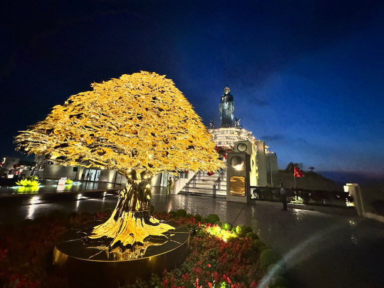 Cây bồ đề được mạ vàng 24K lớn nhất Việt Nam.