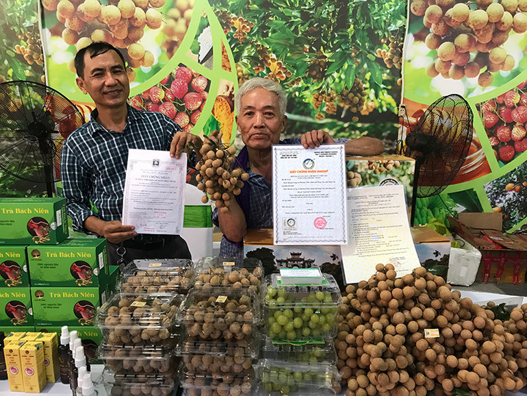 Gian hàng Trưng bày sản phẩm nhãn lồng của thành phố Hưng Yên tại Tuần lễ tôn vinh nhãn lồng Hưng Yên năm 2024 tại Khu đô thị Vinhomes Oceanpark 2, tỉnh Hưng Yên.