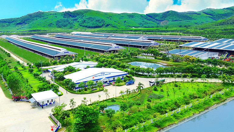 Hệ thống 14 trang trại Vinamilk trên cả nước hiện đang được áp dụng nhiều giải pháp về nông nghiệp bền vững và năng lượng xanh. Hệ thống 14 trang trại Vinamilk trên cả nước hiện đang được áp dụng nhiều giải pháp về nông nghiệp bền vững và năng lượng xanh.
