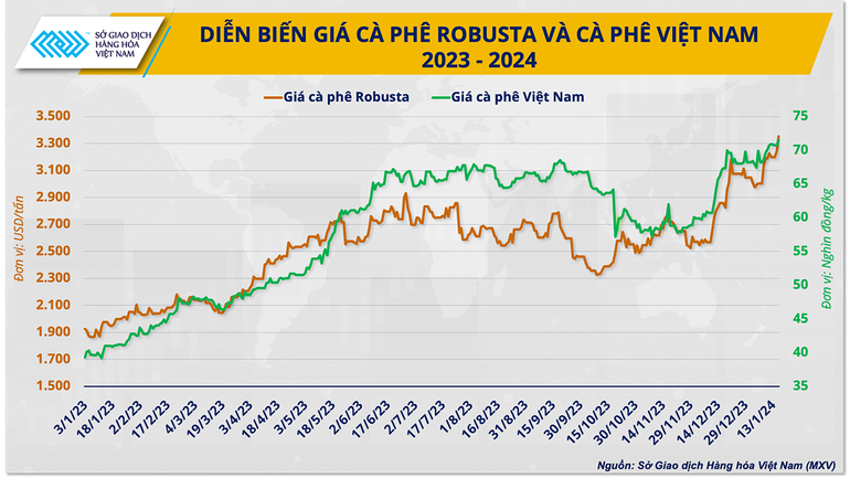 Diễn biến giá Robusta và cà-phê Việt Nam 2023-2024.