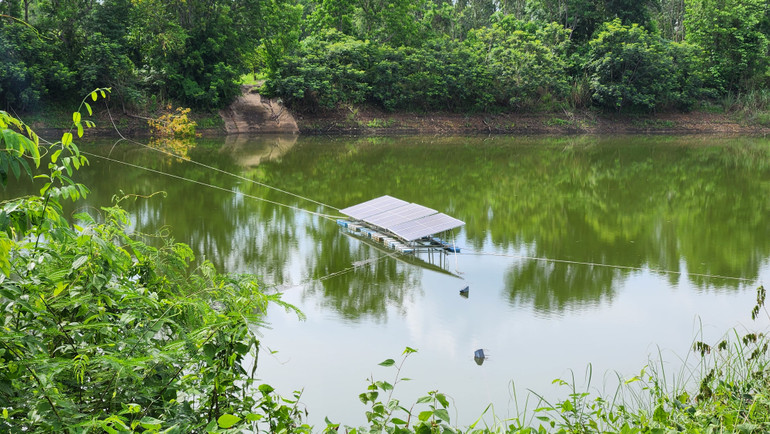 Hệ thống phát điện dùng năng lượng mặt trời dùng cho máy bơm nước tưới tiêu.