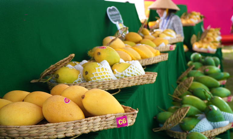 Những quả xoài được nông dân mang đến tham gia Hội thi “Trái xoài ngon”.