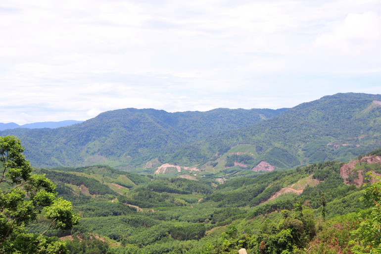 Các chương trình phục hồi rừng không chỉ đơn thuần là tăng độ che phủ mà còn hướng tới những mục tiêu bền vững hơn như bảo vệ đa dạng sinh học, tạo sinh kế cho cộng đồng địa phương và phục hồi những khu vực rừng bị suy thoái.
