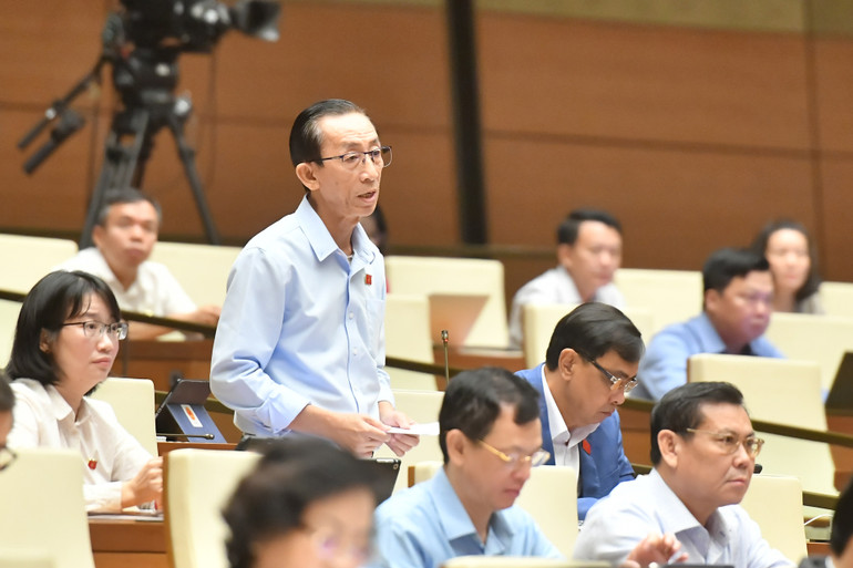 Đại biểu Quốc hội Trần Hoàng Ngân.