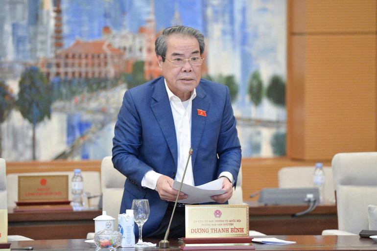 Trưởng Ban Dân nguyện Dương Thanh Bình báo cáo tại phiên họp. (Ảnh: DUY LINH)