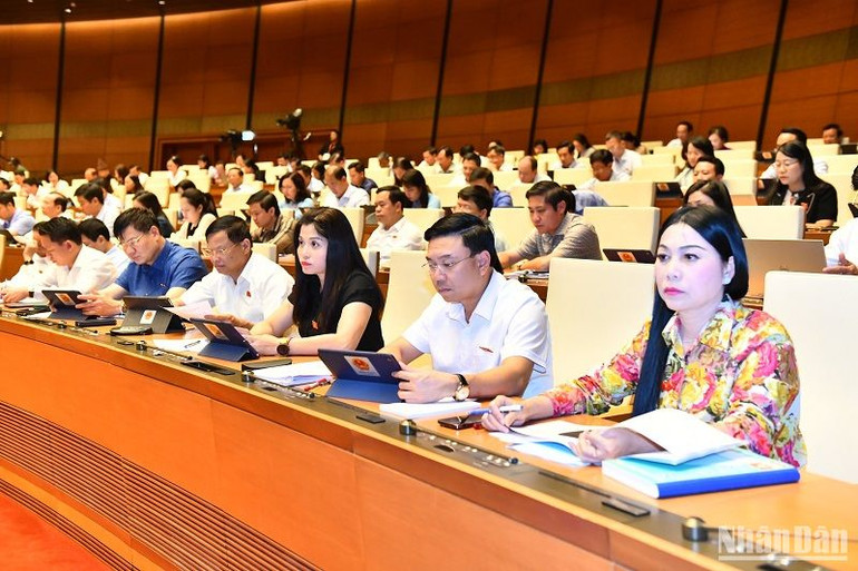 Các đại biểu dự phiên họp. (Ảnh: ĐĂNG KHOA)