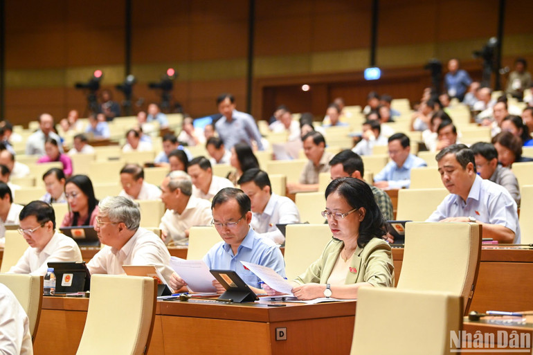 Các đại biểu dự phiên họp. (Ảnh: DUY LINH)