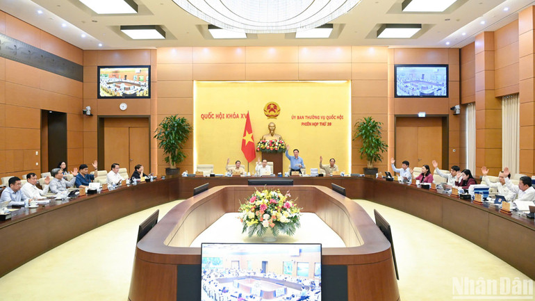 Ủy ban Thường vụ Quốc hội tiến hành biểu quyết. (Ảnh: DUY LINH)