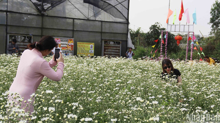 Vườn hoa nằm trong khuôn viên Trung tâm Công nghệ sinh học thành phố Đà Nẵng.