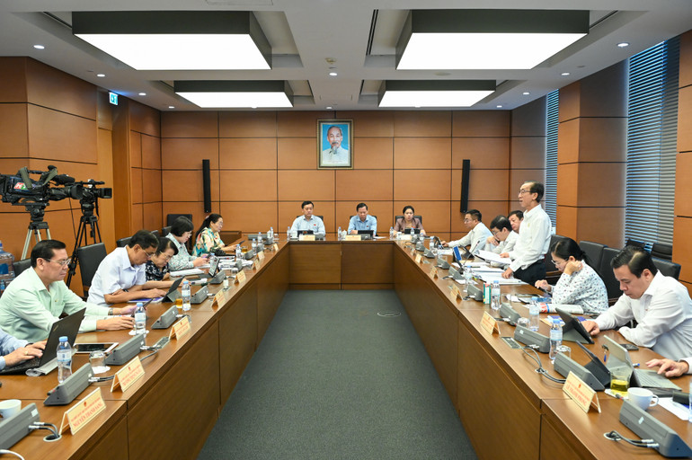 Quang cảnh phiên thảo luận ở tổ TP Hồ Chí Minh. (Ảnh: BÙI GIANG)