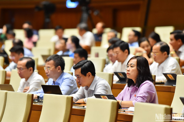 Các đại biểu Quốc hội dự phiên thảo luận ở hội trường sáng 29/5. (Ảnh: THỦY NGUYÊN)