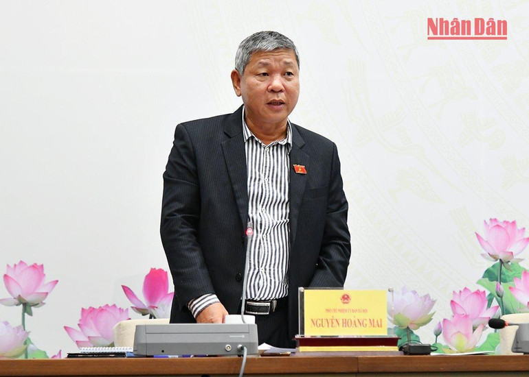 Phó Chủ nhiệm Ủy ban Xã hội của Quốc hội Nguyễn Hoàng Mai trả lời câu hỏi của phóng viên tại buổi họp báo. (Ảnh: THỦY NGUYÊN)