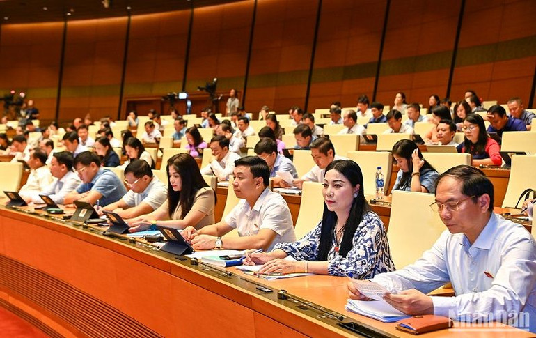 Các đại biểu dự phiên họp. (Ảnh: DUY LINH)