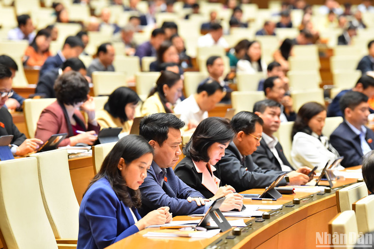 Các đại biểu Quốc hội dự phiên thảo luận ở hội trường về dự án Luật. (Ảnh: THỦY NGUYÊN)