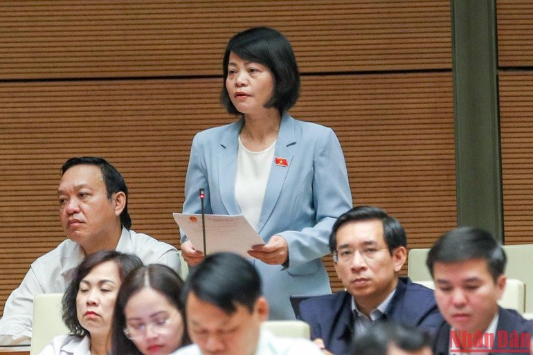 Đại biểu Nguyễn Thanh Cầm (Tiền Giang) phát biểu tại phiên họp. (Ảnh: DUY LINH)