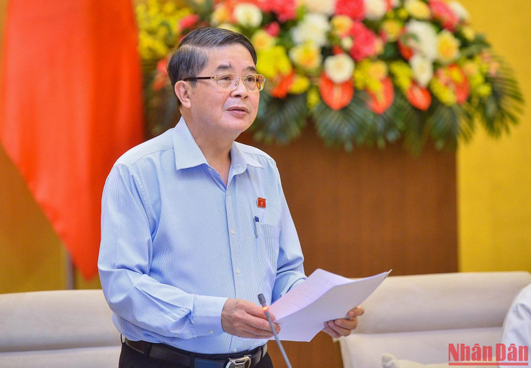 Phó Chủ tịch Quốc hội Nguyễn Đức Hải phát biểu tại phiên họp.