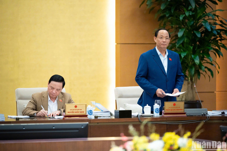 Phó Chủ tịch Quốc hội, Thượng tướng Trần Quang Phương phát biểu. (Ảnh: DUY LINH)