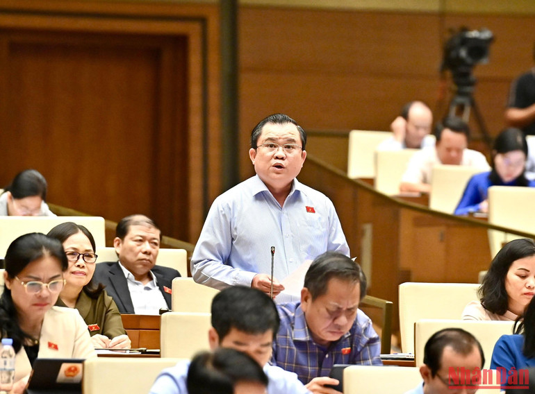 Đại biểu Nguyễn Tâm Hùng (Bà Rịa-Vũng Tàu) tham gia ý kiến thảo luận. (Ảnh: ĐĂNG KHOA)