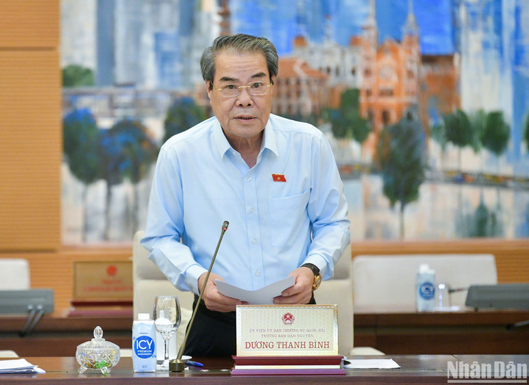 Trưởng Ban Dân nguyện Dương Thanh Bình báo cáo tại phiên họp. (Ảnh: DUY LINH)