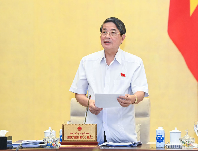 Phó Chủ tịch Quốc hội Nguyễn Đức Hải phát biểu kết luận nội dung thảo luận. (Ảnh: DUY LINH) Phó Chủ tịch Quốc hội Nguyễn Đức Hải phát biểu kết luận nội dung thảo luận. (Ảnh: DUY LINH)