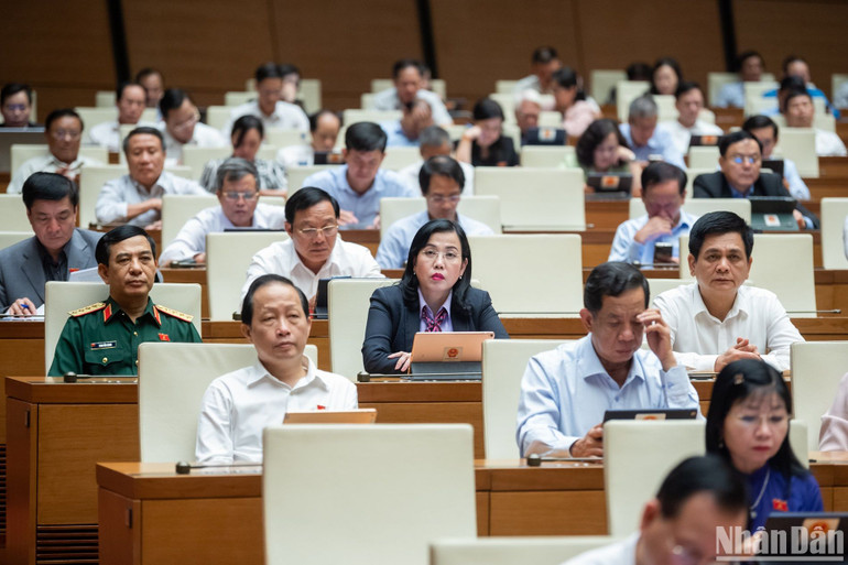 Các đại biểu dự phiên họp chiều 8/11. (Ảnh: ĐĂNG KHOA)