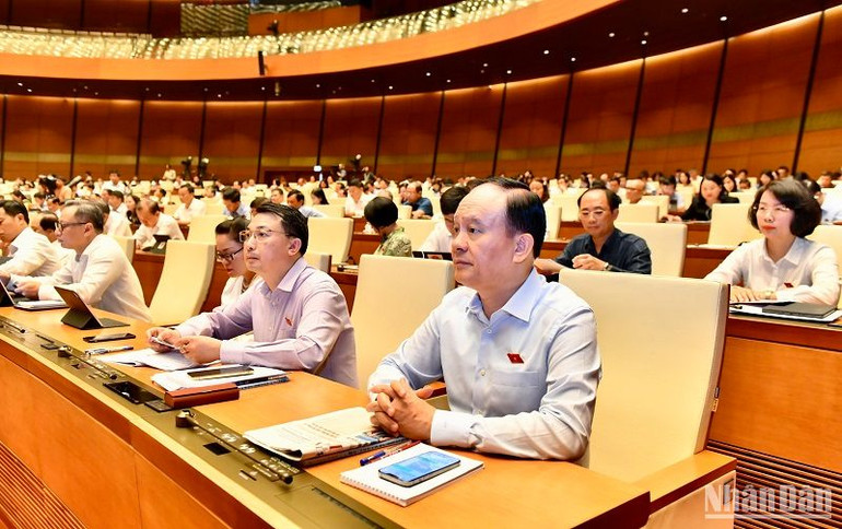 Các đại biểu dự phiên họp. (Ảnh: ĐĂNG KHOA)