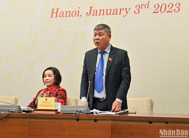 Phó Chủ nhiệm Ủy ban Xã hội của Quốc hội Nguyễn Hoàng Mai phát biểu tại họp báo. (Ảnh: DUY LINH)