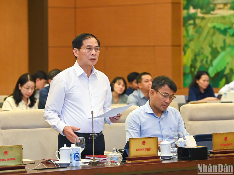 Bộ trưởng Ngoại giao Bùi Thanh Sơn báo cáo tại phiên họp. (Ảnh: DUY LINH)