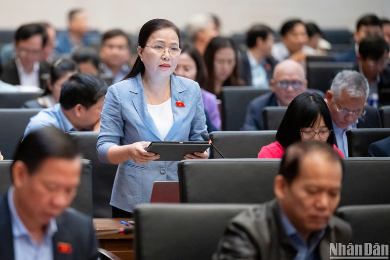 Đại biểu Đỗ Thị Lan phát biểu ý kiến. (Ảnh: DUY LINH)