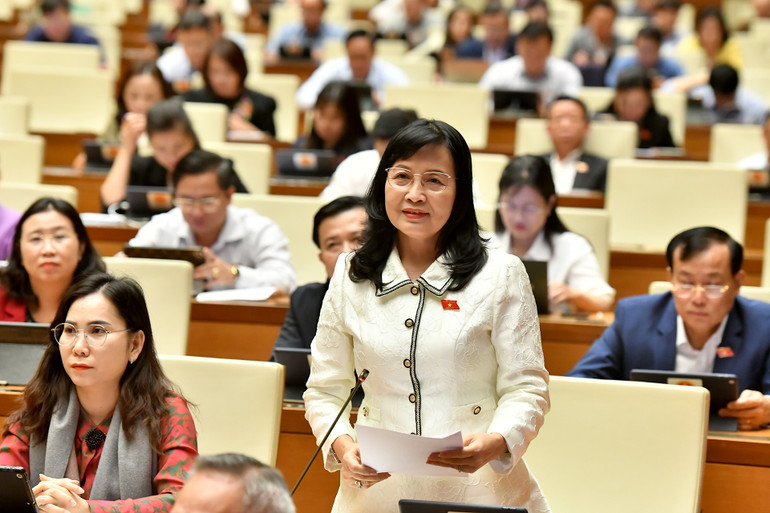 Đại biểu Quốc hội Trần Thị Thu Đông.