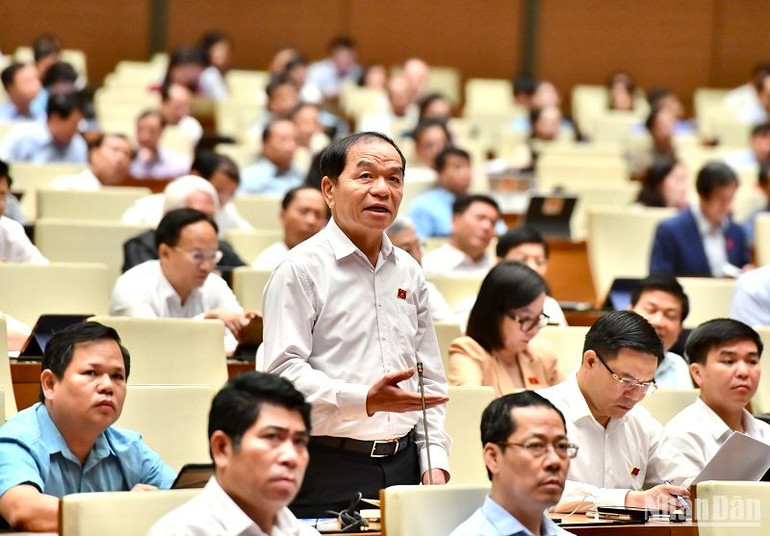 Đại biểu Quốc hội Lê Thanh Vân phát biểu ý kiến tại hội trường. (Ảnh: ĐĂNG KHOA)