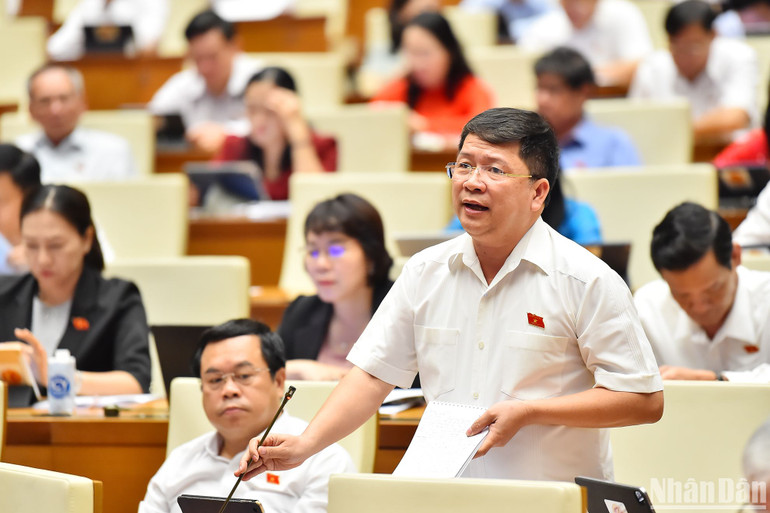 Đại biểu Tạ Văn Hạ (đoàn Quảng Nam) phát biểu ý kiến trong phiên thảo luận ở hội trường ngày 29/5. (Ảnh: THỦY NGUYÊN)