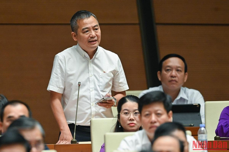 Đại biểu Nguyễn Lân Hiếu (đoàn Bình Định) phát biểu ý kiến tại phiên họp. Ảnh: THỦY NGUYÊN